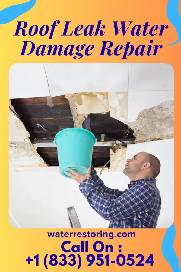 Roof Leak Water Damage Repair in Balch Springs, TX